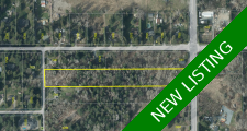 Surrey Development Property for sale: 6 bedroom 2,340 sq.ft. (Listed 2025-10-14)